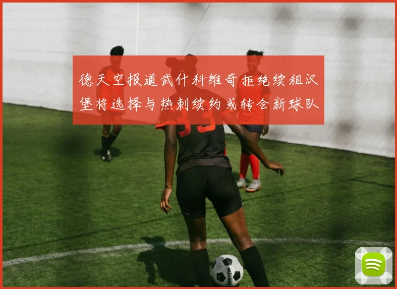 德天空报道武什科维奇拒绝续租汉堡将选择与热刺续约或转会新球队