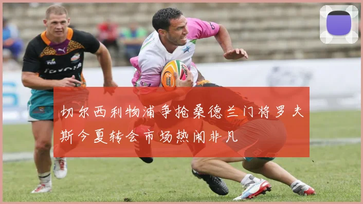 切尔西利物浦争抢桑德兰门将罗夫斯今夏转会市场热闹非凡