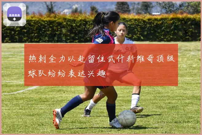 热刺全力以赴留住武什科维奇顶级球队纷纷表达兴趣
